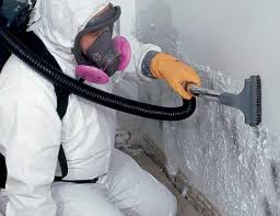 Why You Should Choose Our Mold Remediation Services in Las Vegas, NV